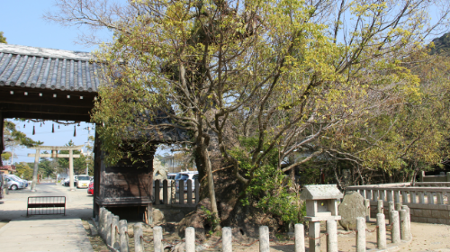 pic04 (1)